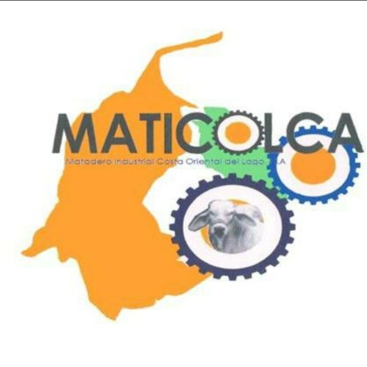 Cliente Maticolta